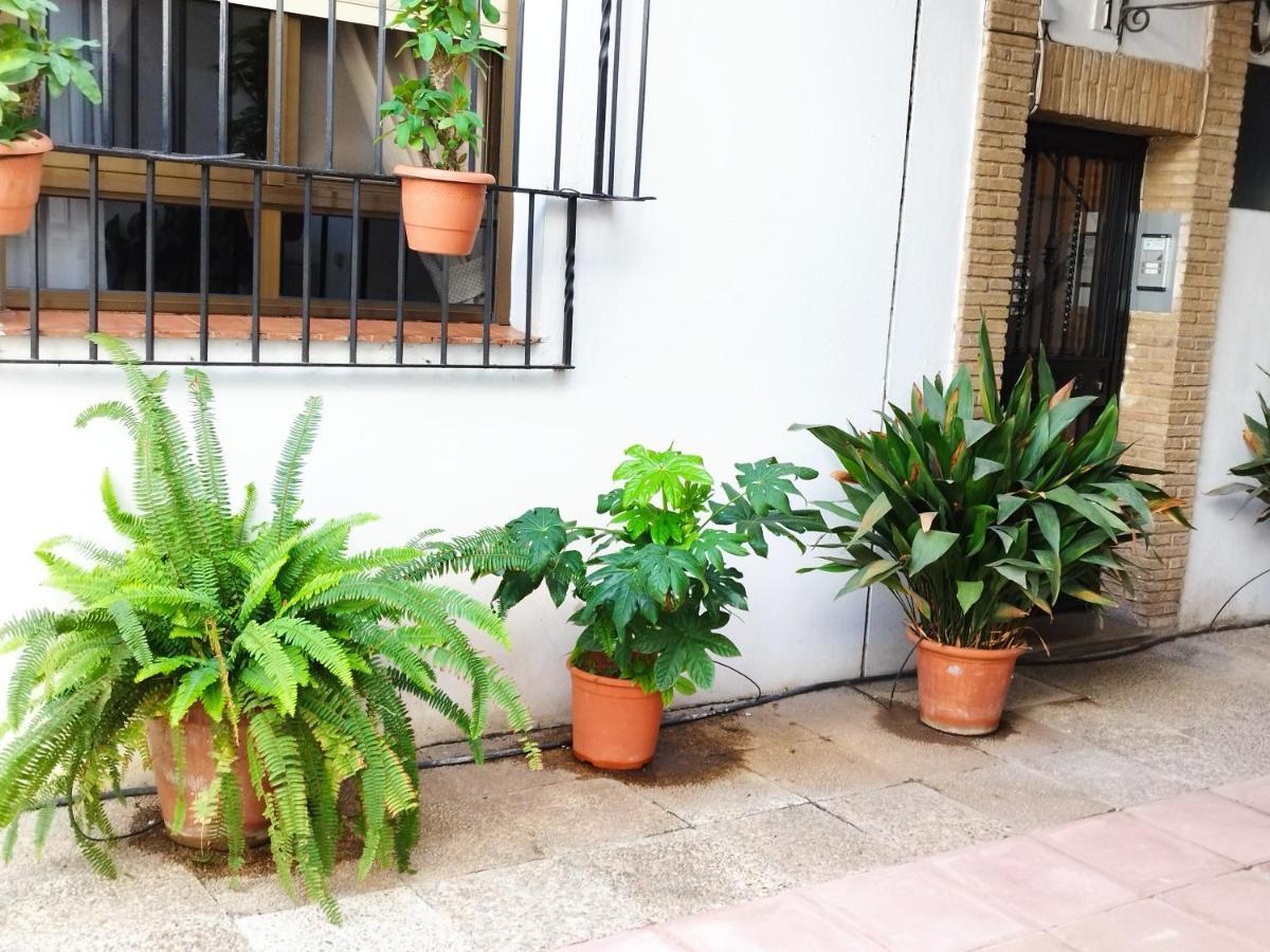 El Balcon De San Pablo Apartment Cordoba Exterior photo